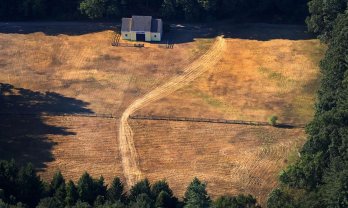 A Yellow barn in Topsfield, MA, matches the grass surrounding it.  Source: Boston Globe