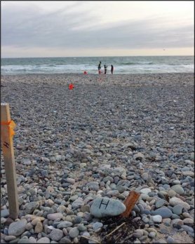 A cobble strewn beach on the New England shore.