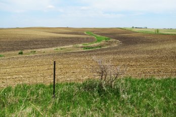 A brown parched field in corn country.